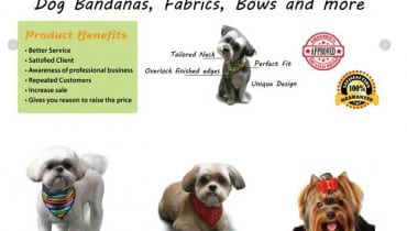 Pet Accessories Website